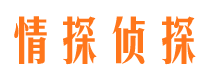 凤城市场调查